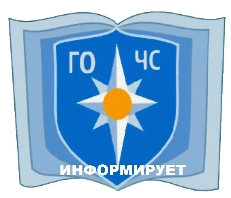 Дорогие жители и гости Усть-Донецкого района!