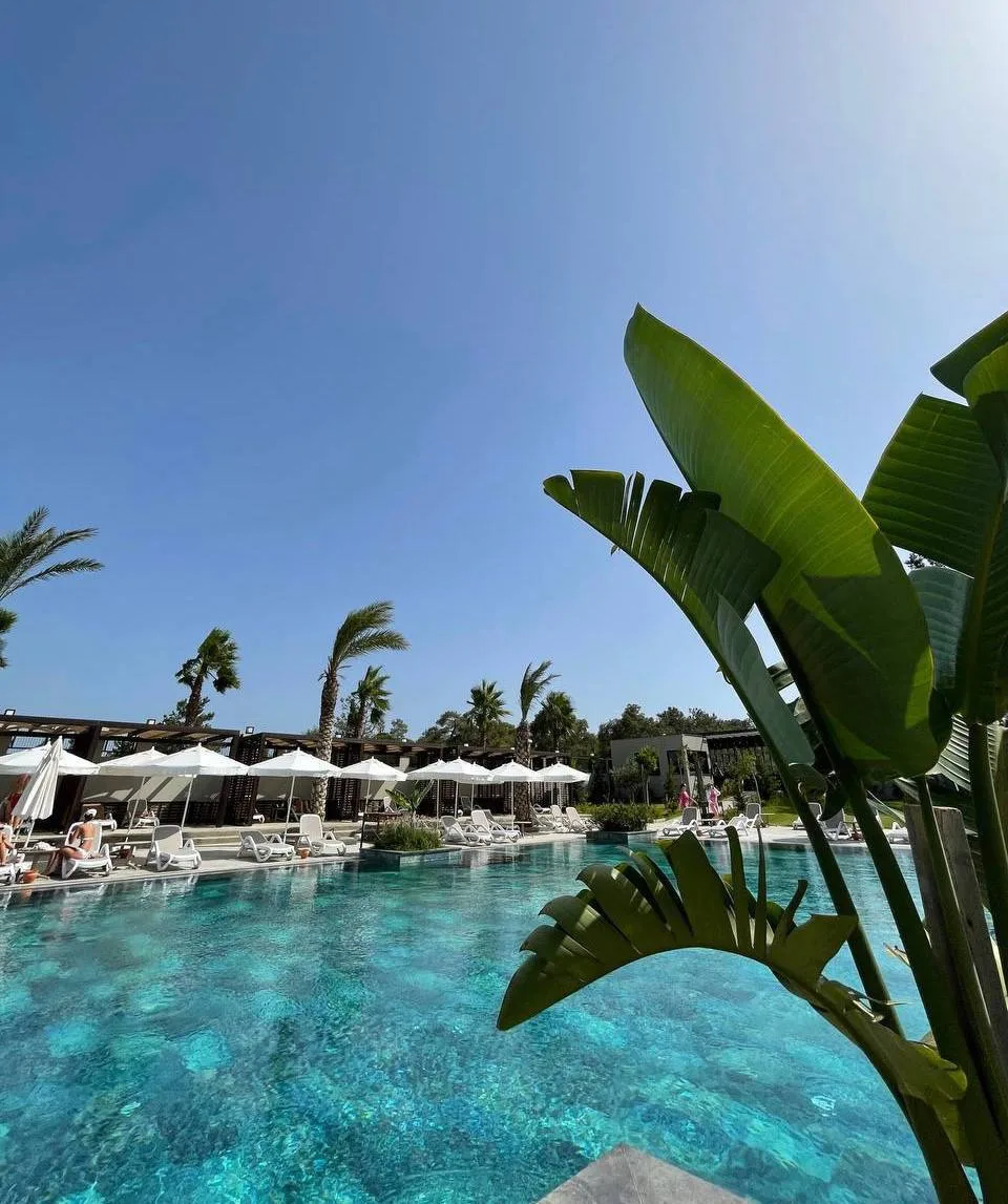 📍Sorgun Akadia Luxury Hotel 5*

Тусовочный отель 16+ в Сиде (Турция)

Вариант цена/качество. Компак