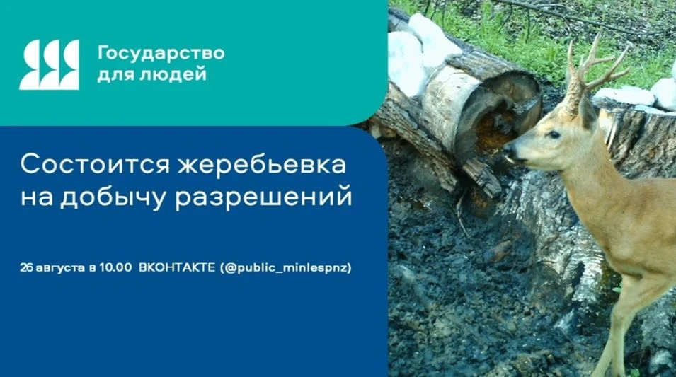❗Внимание, охотники!