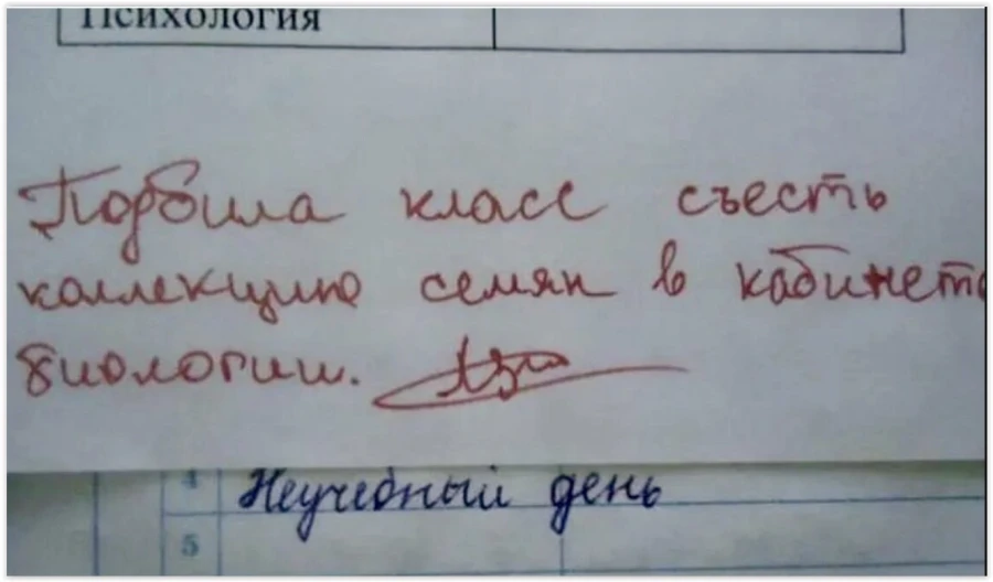 В Оренбуржье в 10 школах начнут ставить оценки за поведение