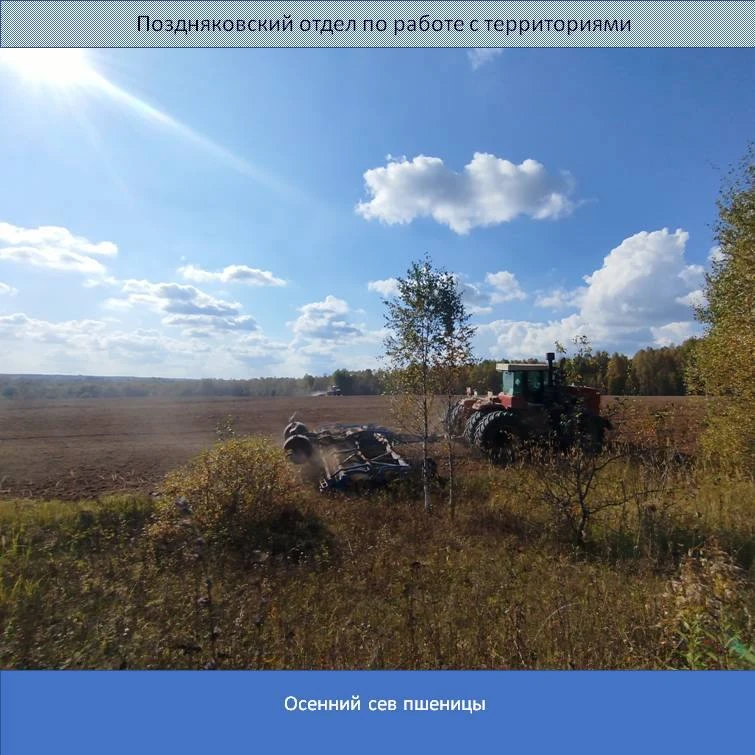 📝Убран хлеб и мало горя, отдохнуть селу пора.