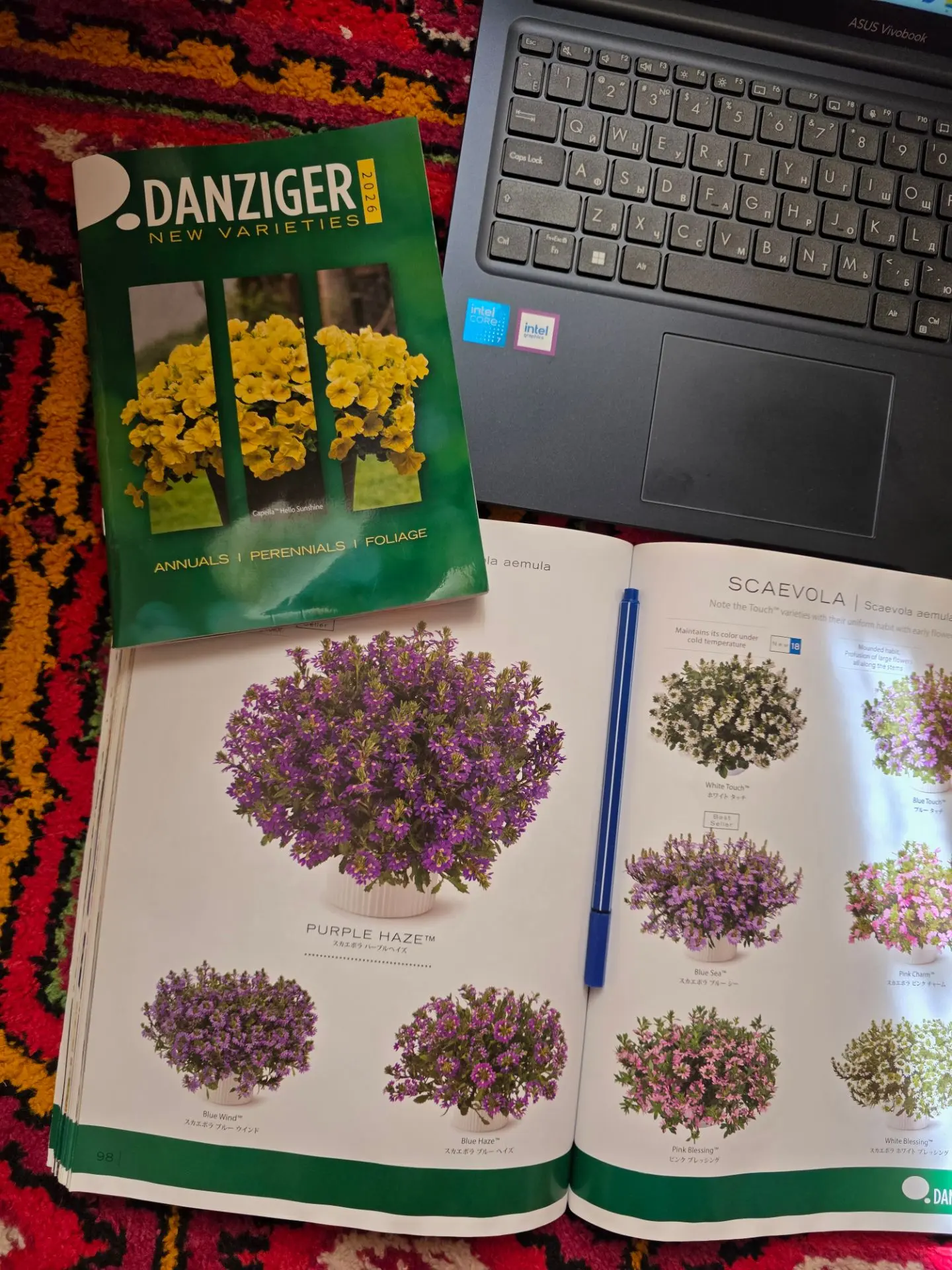 Села за прайсы на черенки 🌱