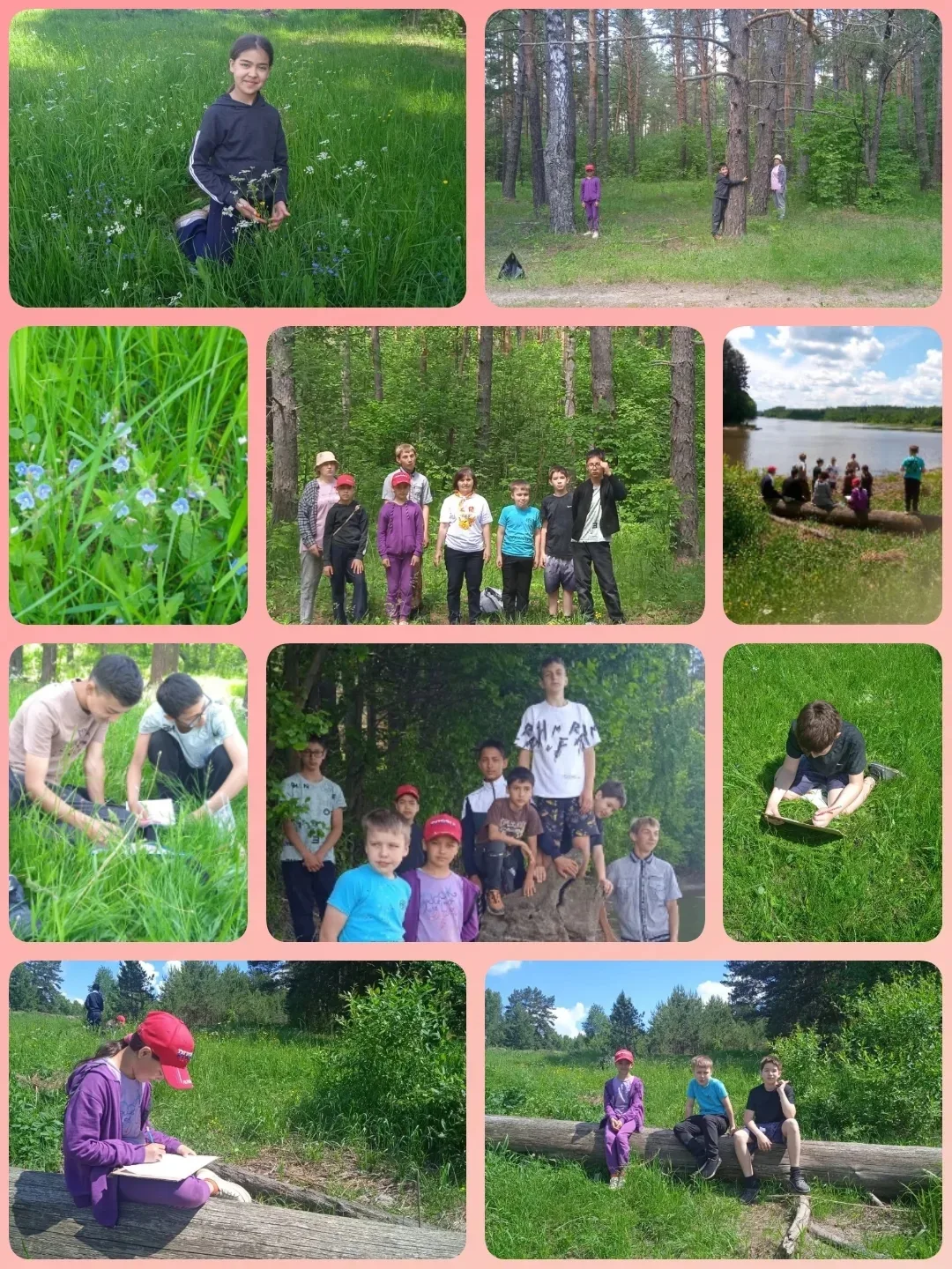 🌴🌳🌲Пятый день лагеря: «День эколога»