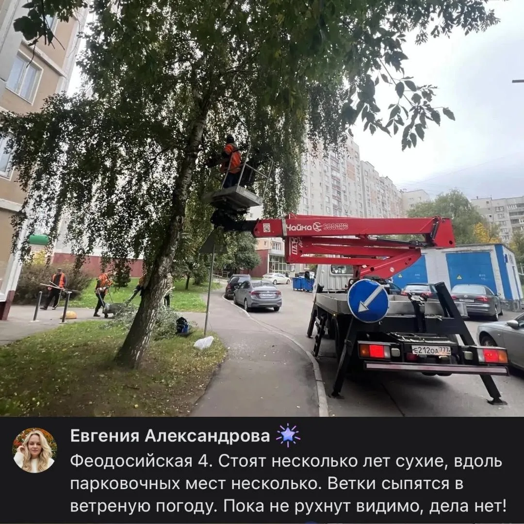 Недавно спрашивал вас, по каким адресам в районе необходимо провести санитарную обрезку...