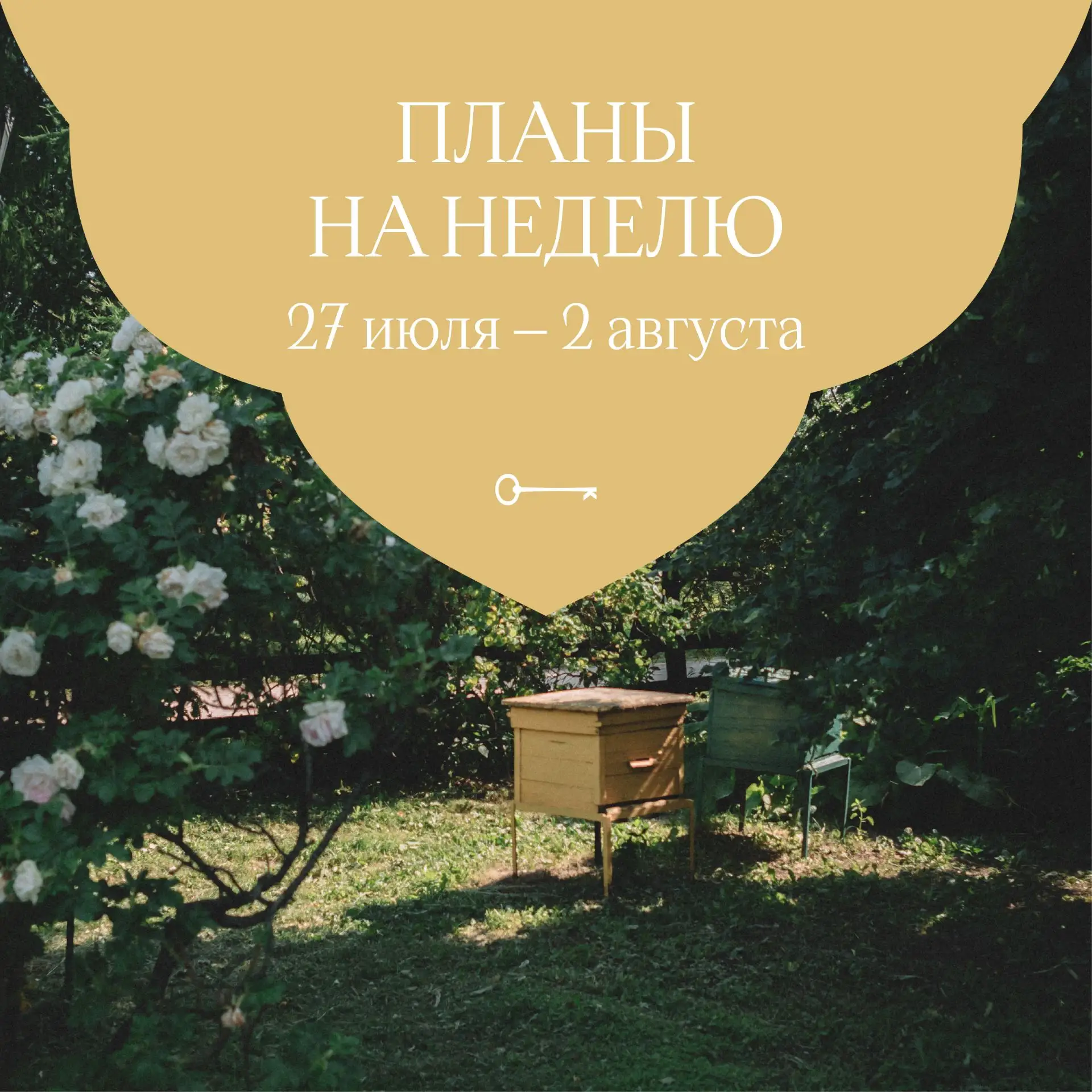 Планы на неделю 
27 июля–2 августа

🏛️ Выставки и экспозиции 

Ежедневно, кроме понедельника, в Кол