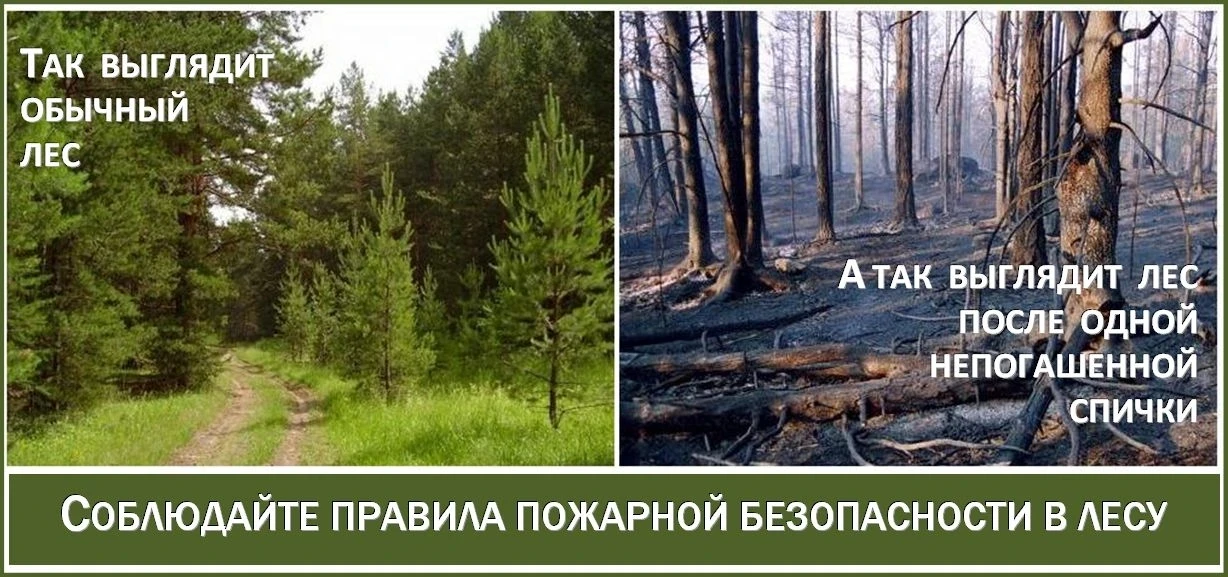 Начинаются летние каникулы. Ребята, будите бдительны. Соблюдайте правила пожарной безоп...