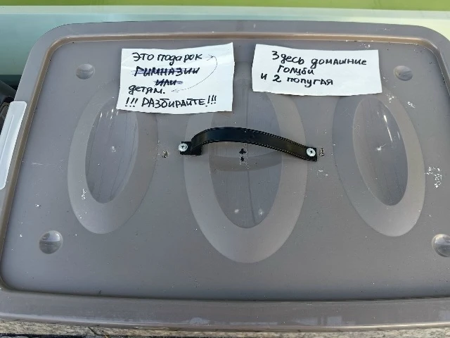 В ТЦ "Невский центр" у площади Восстания сегодня кто-то подкинул контейнер с 11 птицами...