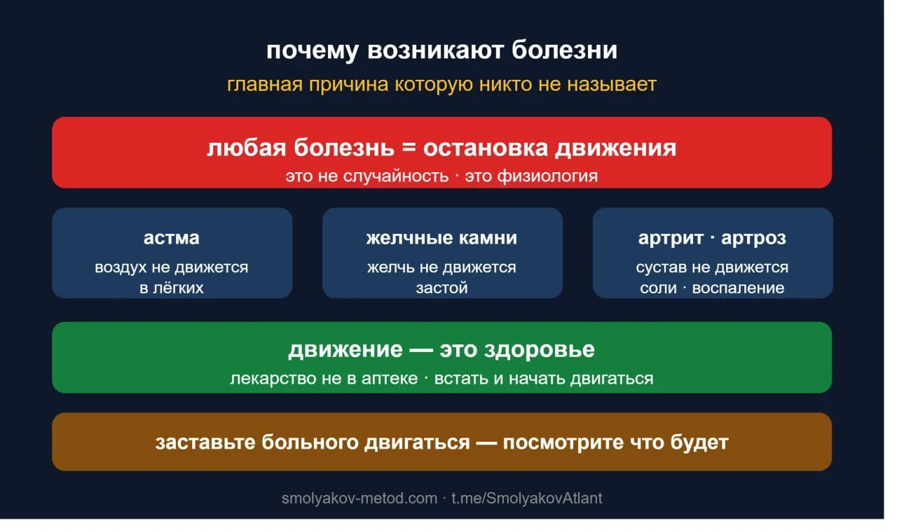 Почему возникают болезни — главная причина, которую никто не называет