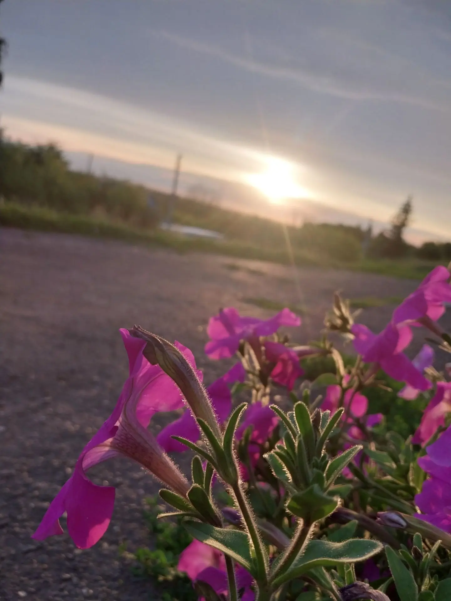 🌼Коллектив клуба подготовили Фотообзор фотографий "Наше село"

🌸Лето — это не просто время года, а