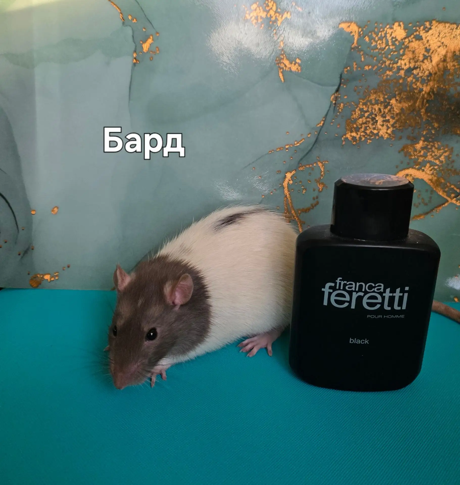 Вот это он удачно зашёл