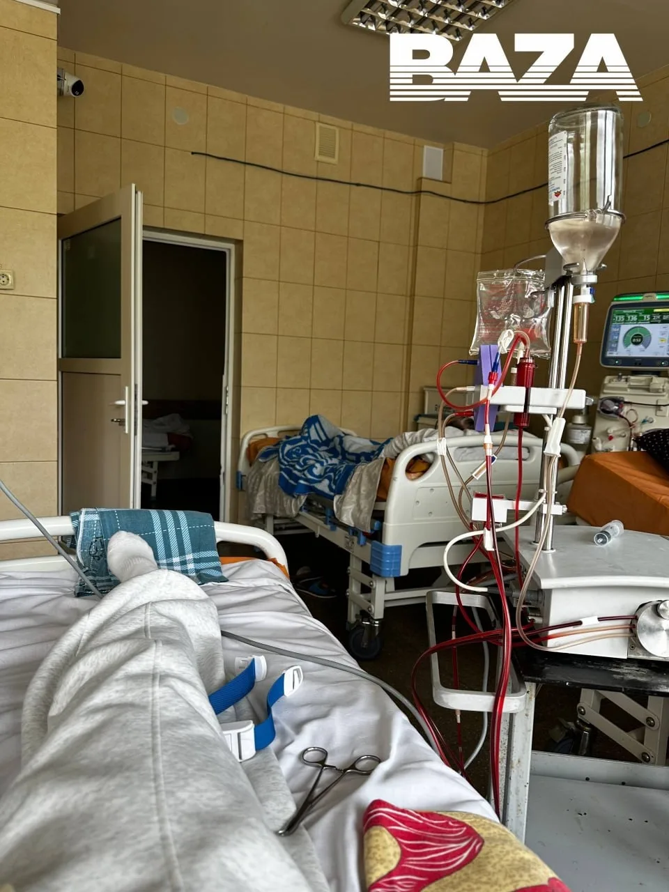 Дочь дрессировщика Запашного попала в реанимацию в Севастополе с тяжёлой аллергией  Екатерина приеха