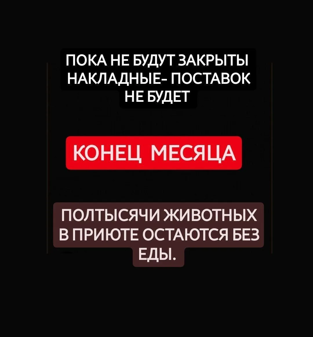 НИКОГДА НЕ БЫЛО ТАК ТРУДНО..