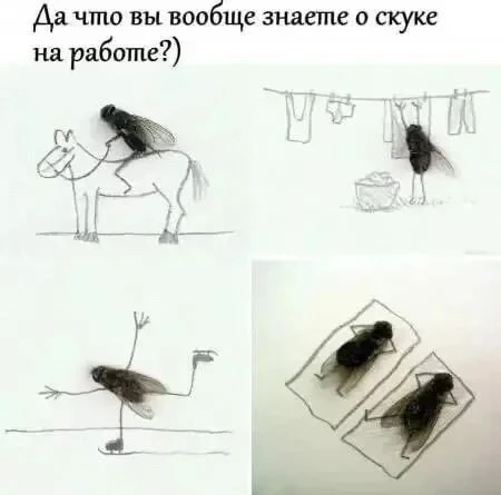 Подписывайтесь на Саваничи