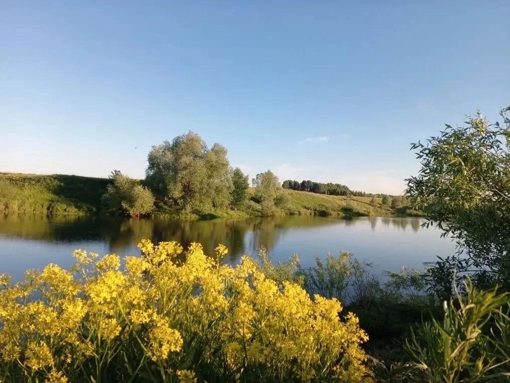 ☀️ Доброе утро, друзья!