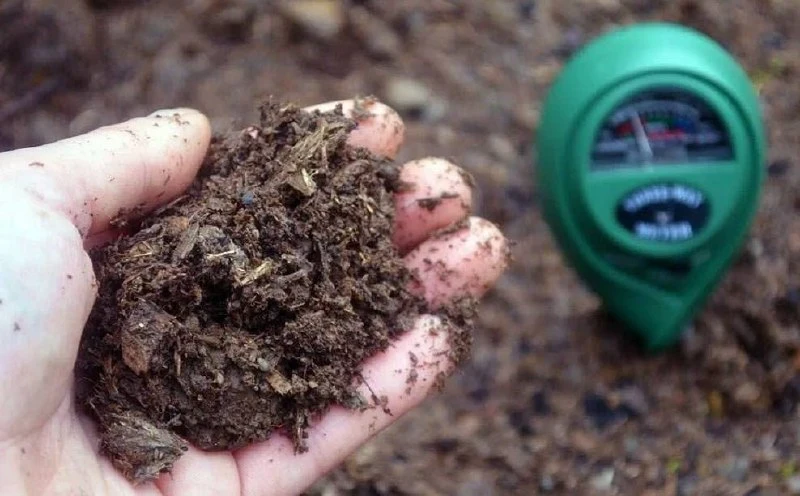 🧑‍🌾 Кислая почва станет намного плодороднее, если внести в нее эти компоненты