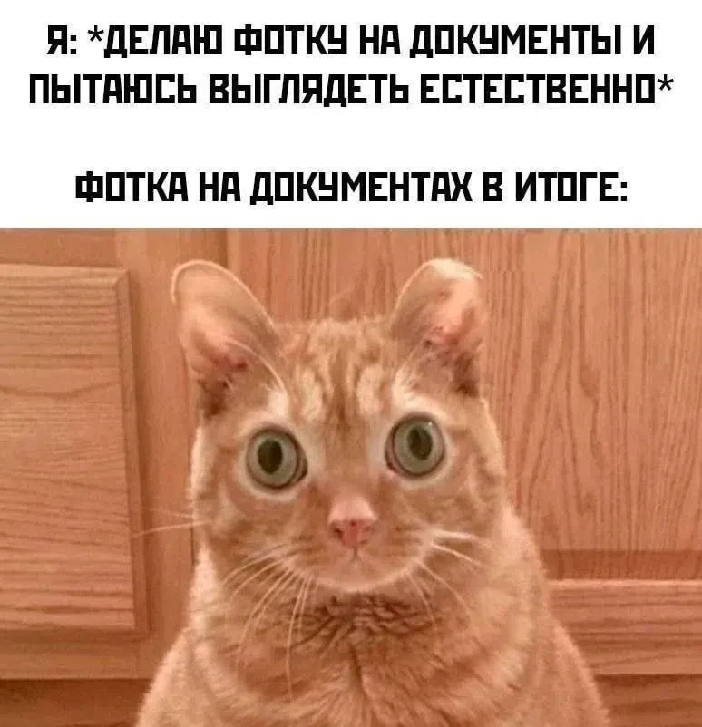 Подпишись на юмор 😂