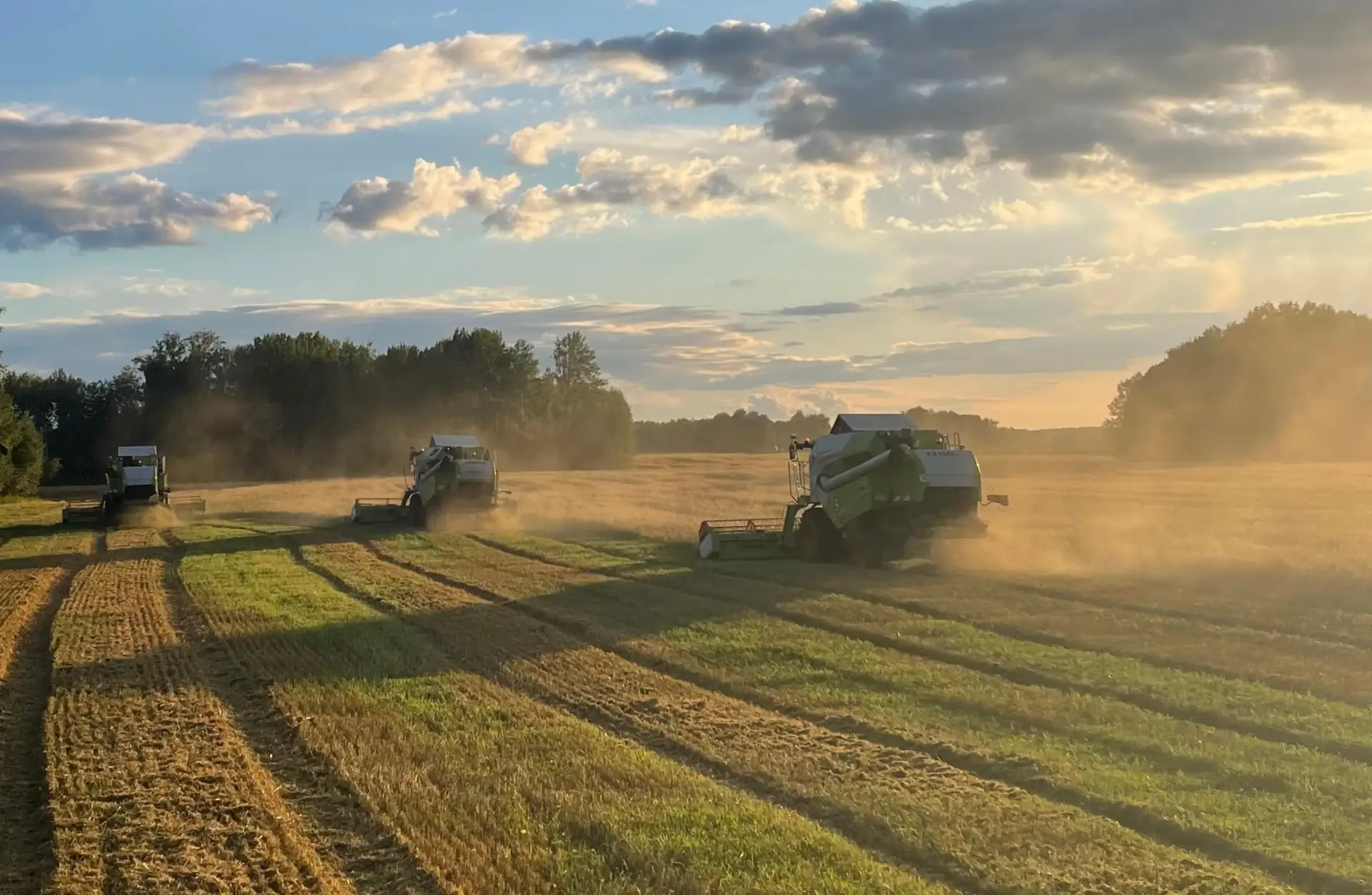 🌾 В полях Шегарского района Томской области продолжается уборка урожая.