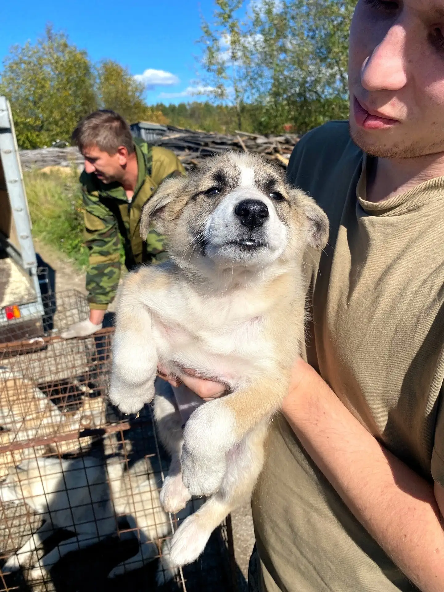 🐕Администрация продолжает работу по отлову безнадзорных животных. 10 сентября 2026 год...
