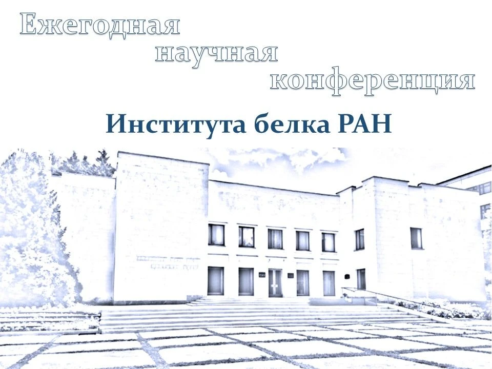 ✨Программа Конференции ИБ РАН