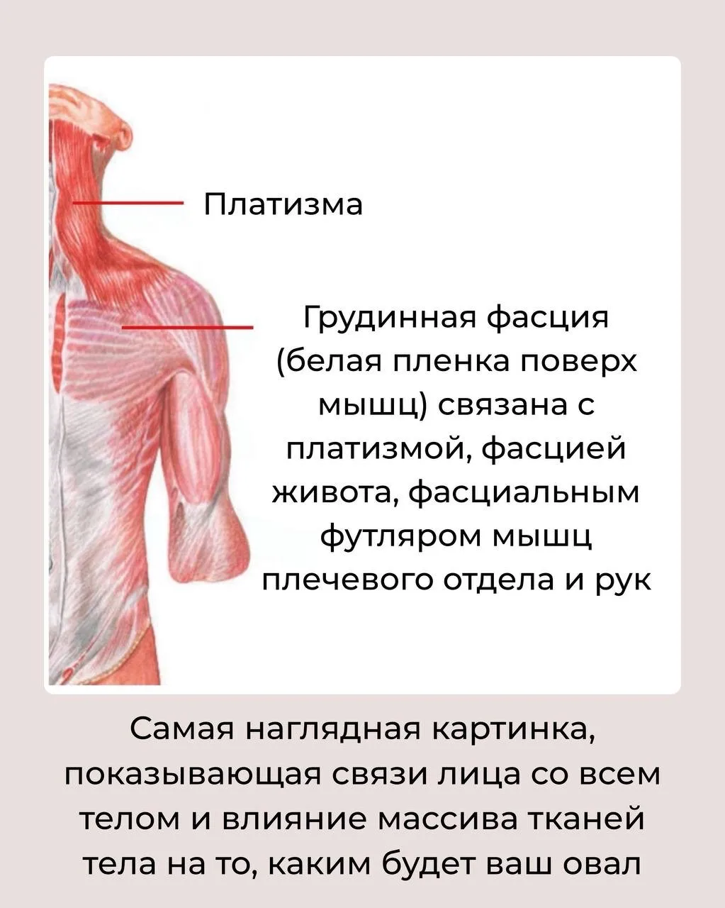 А почему мы, собственно, ограничились руками?