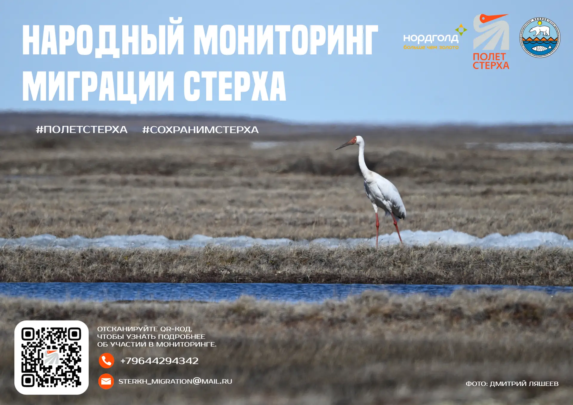 🪽 В Якутии стартовал осенний сезон народного мониторинга стерха