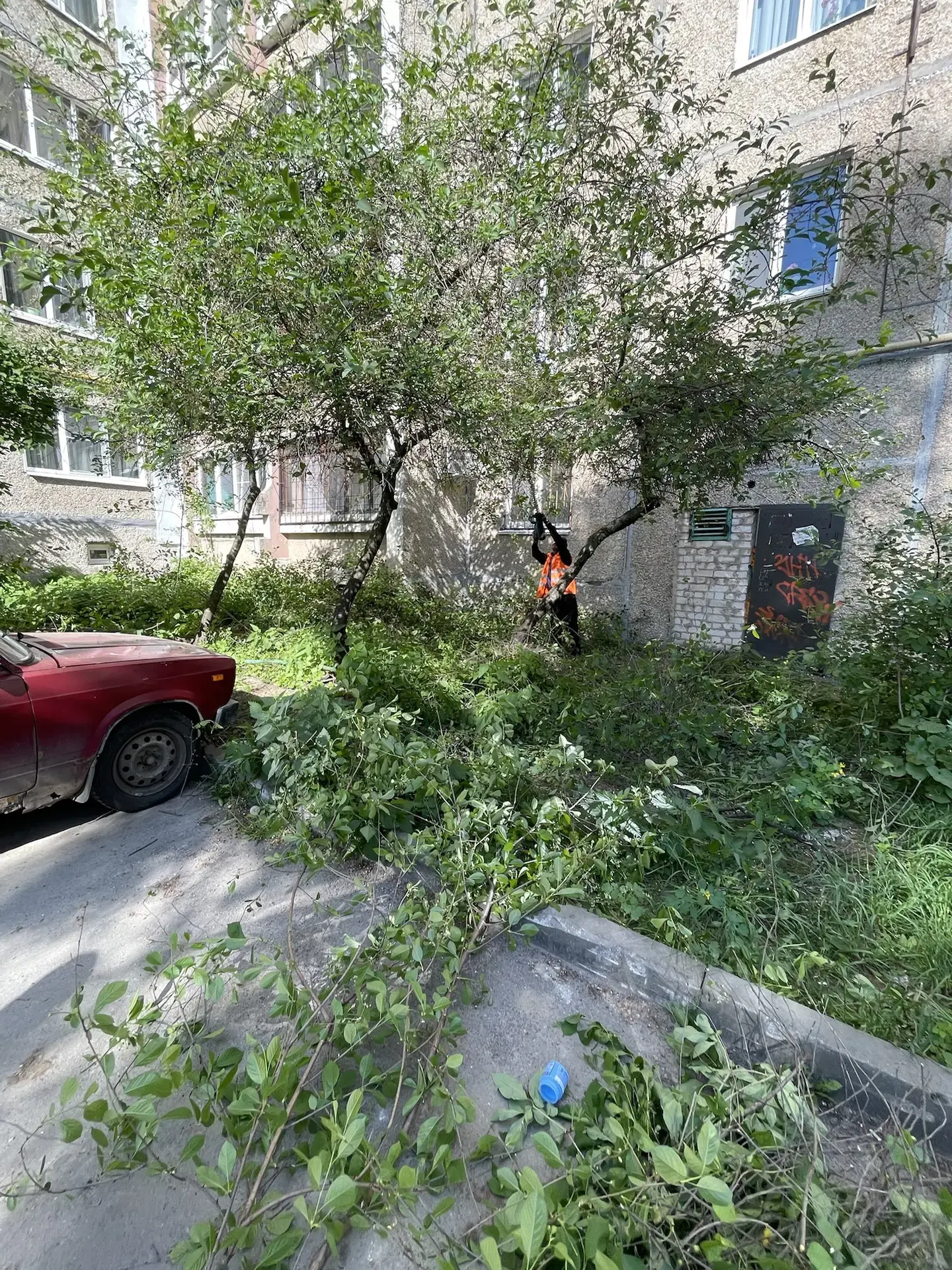 По обращению жителей на доме по адресу ул. Рачкова, 18А выполнены работы по спилу порос...