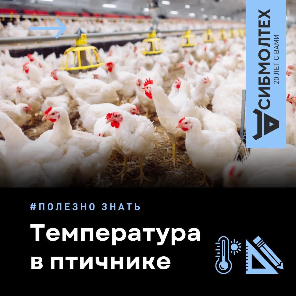 В отличие от млекопитающих у птиц отсутствует функция потоотделения.