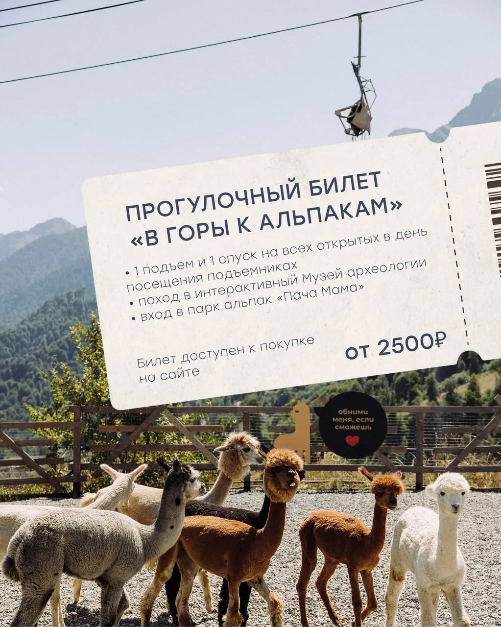 🦙 Канатные дороги, Музей археологии и горный парк альпак «Пача Мама» — один билет на три совершенно
