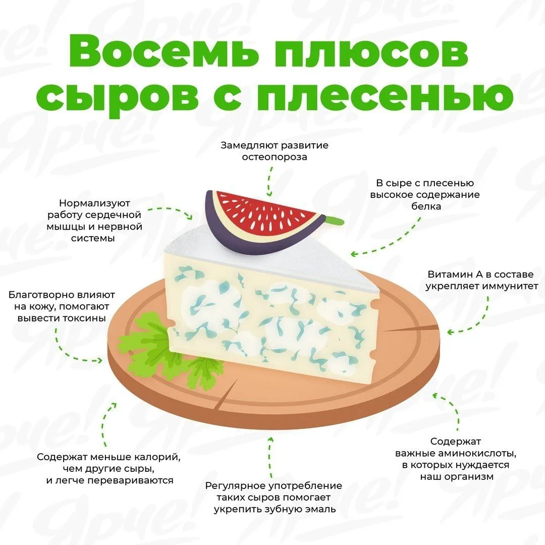 Польза сыра с плесенью

Помимо высокого содержания кальция, все сыры с плесенью богаты витамином А, 
