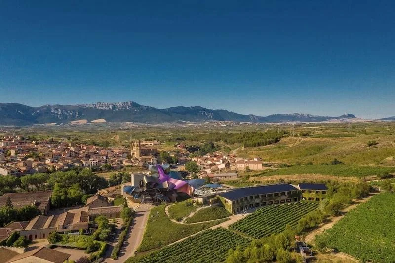 Рубрика #Удачныерешения

Hotel Marqués de Riscal — пример того, как архитектура может стать главным 