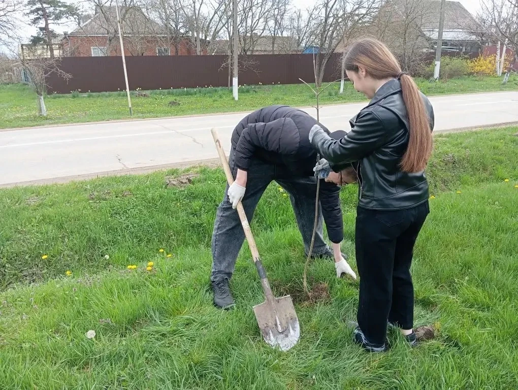 🌱 Посади дерево сегодня – наслаждайся чистым воздухом завтра! Организация экологических акций и обще