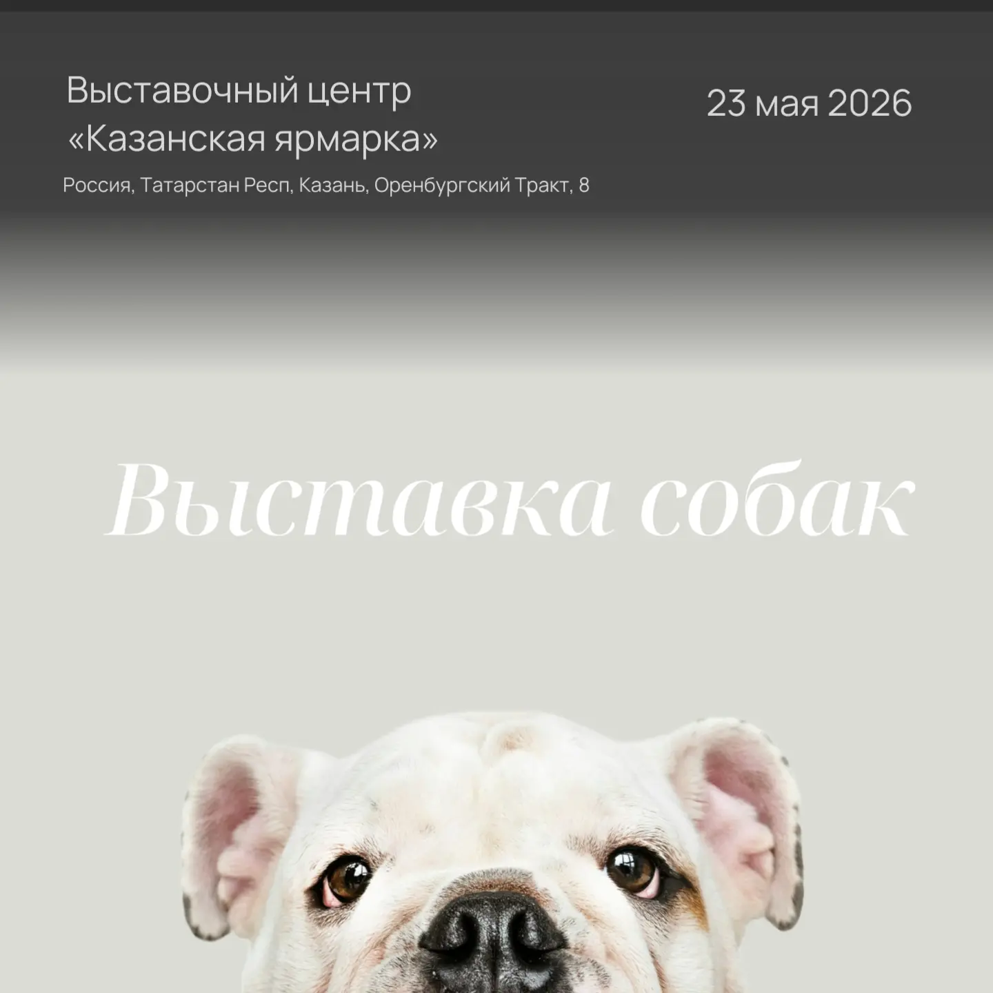 23 мая 2026: выставка собак в Казани! 🐶