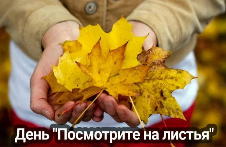 💢3 октября — День «Посмотрите на листья»