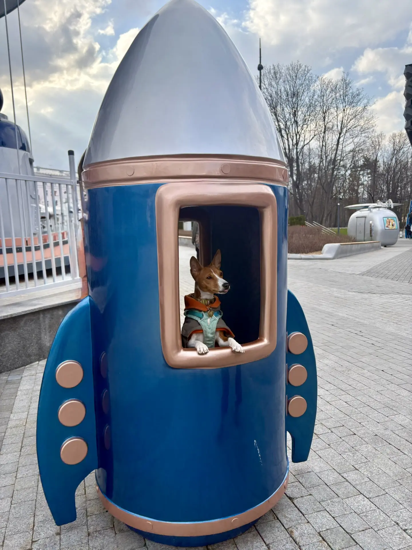 🐶А вы смотрели наш подкаст о животных в космосе?🚀