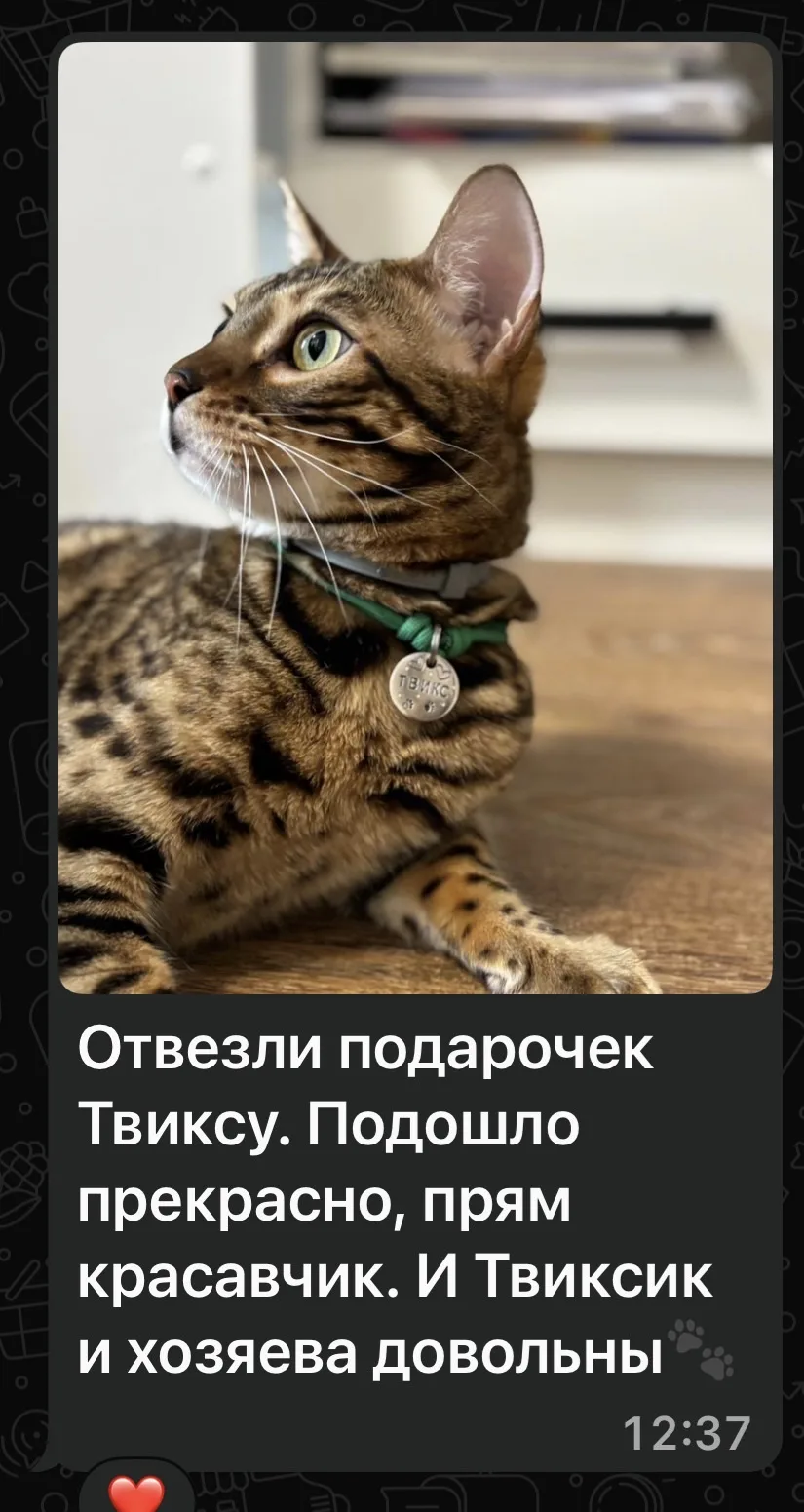 Спасибо, что делитесь фото🫶