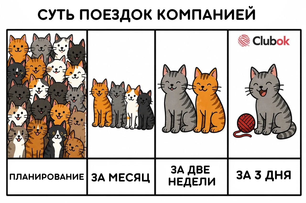 Все друзья отказались от поездки, а путешествовать хочется?