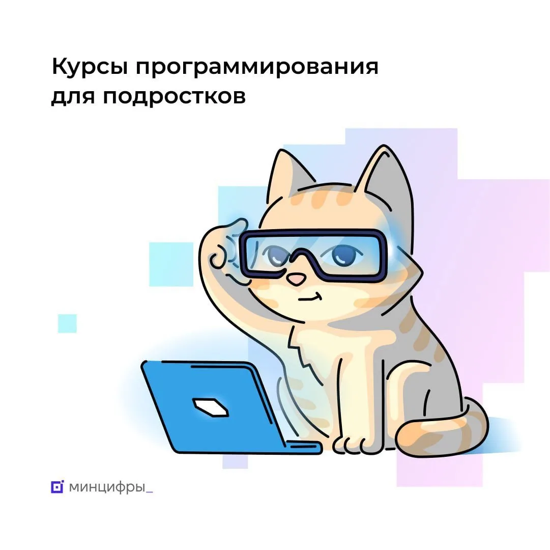 🖥 На портале госуслуг стартовал дополнительный набор заявлений на бесплатные курсы для...