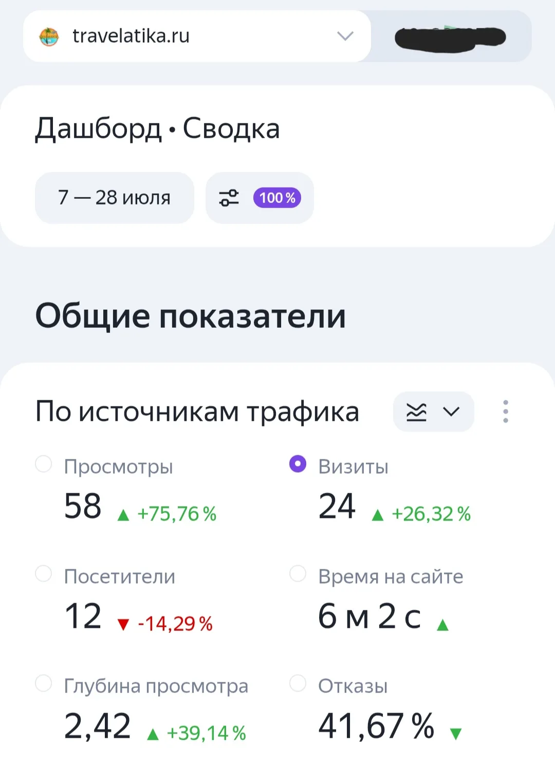 После запуска сайта начинается самое интересное
