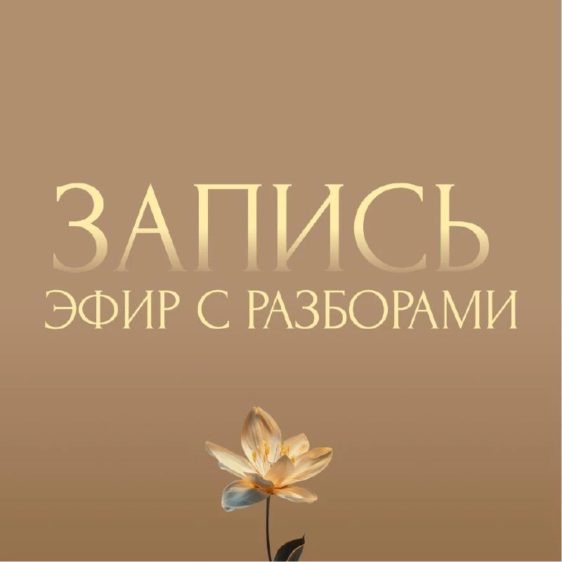 Запись эфира с разборами 🌪