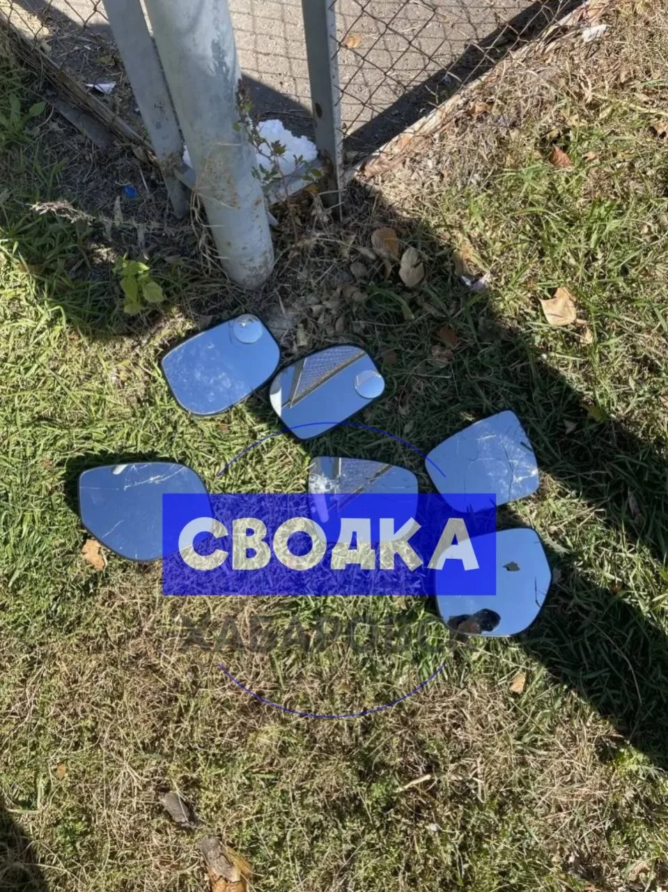 На улице Юнгов, 12 неадекват снимал пачки зеркал с припаркованных машин и бросался на л...