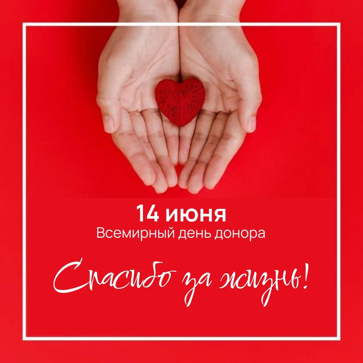🩸14 июня - Всемирный день донора! 
 
Этот день посвящен людям, чье милосердие спасает жизни. Здоров