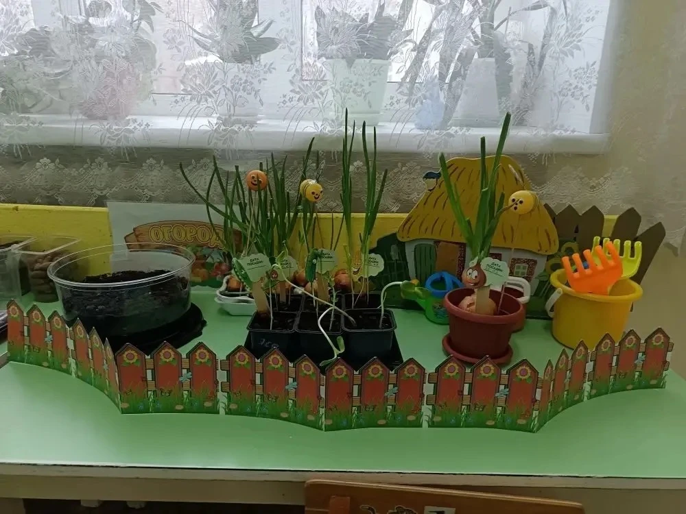 🧅🧄🥕«Огород на окне»