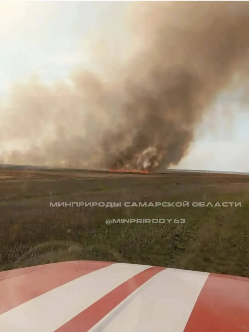 🔥 Под Самарой могли специально поджечь лес ради охоты и рыбалки