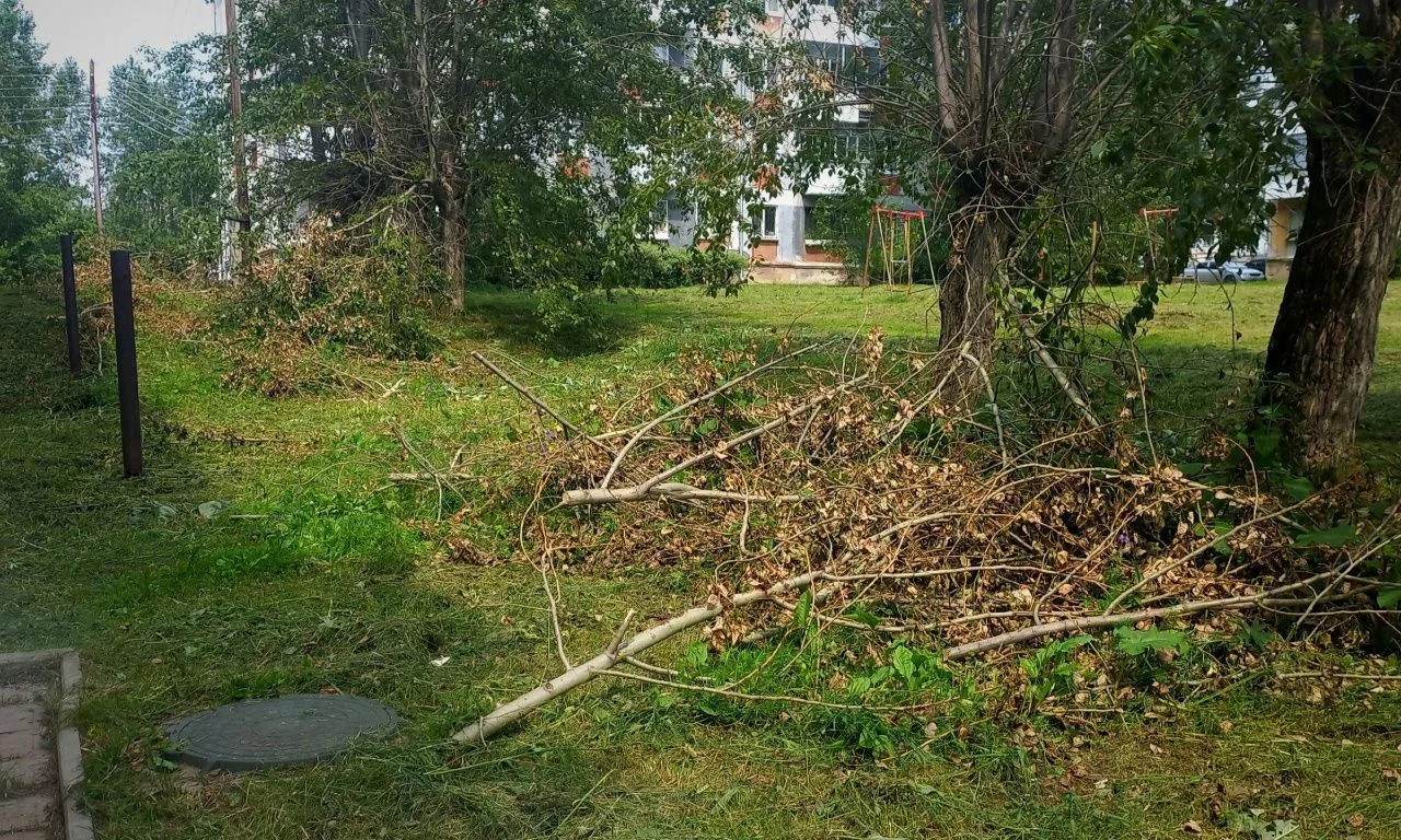 Ветки под окнами на Куйбышева не убирают уже две недели