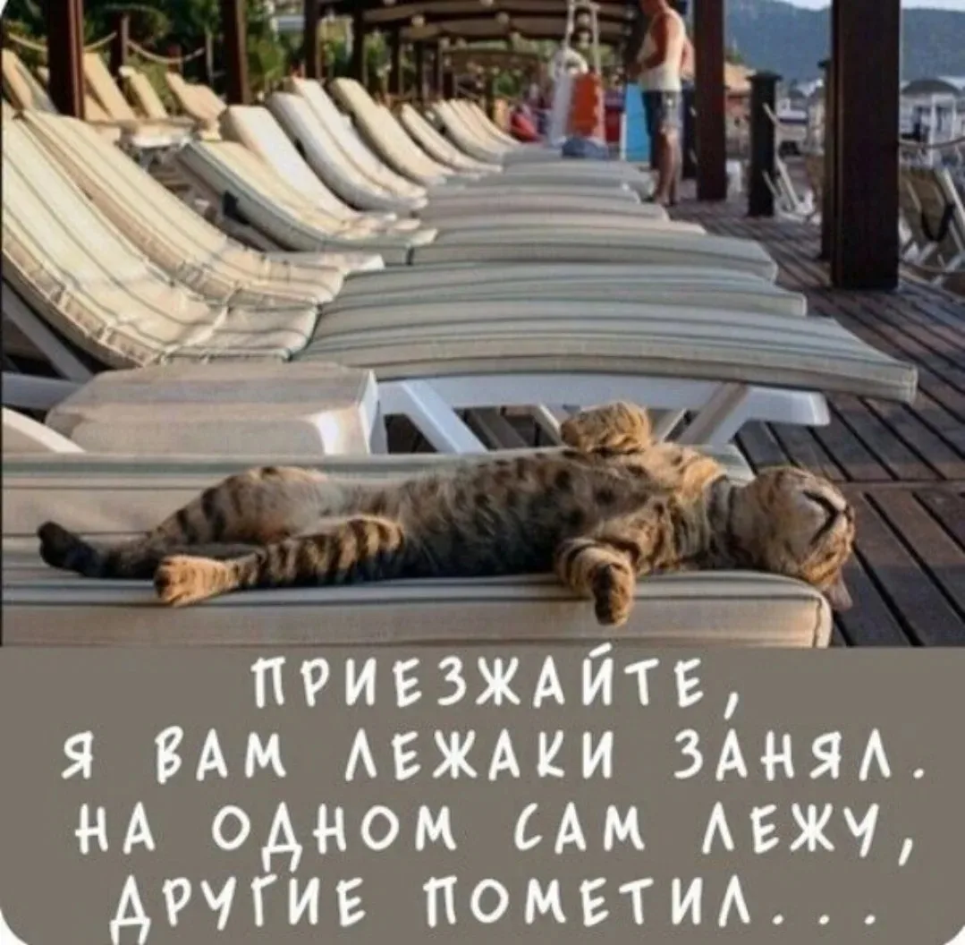 Подпишись на юмор 😂