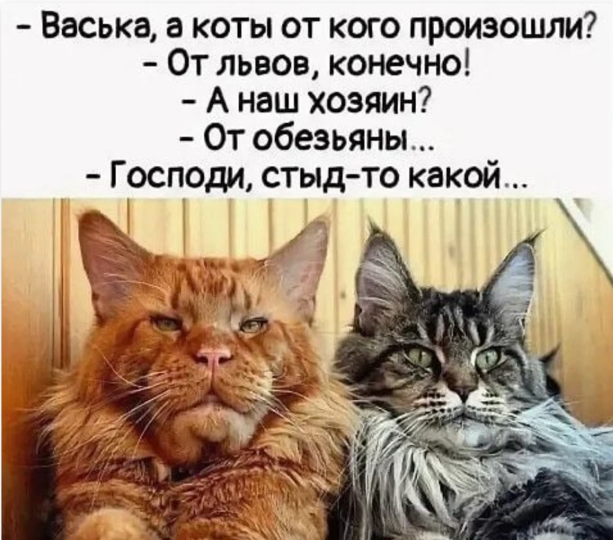 Мой мозг стыдится даже за чужие ситуации 🙈