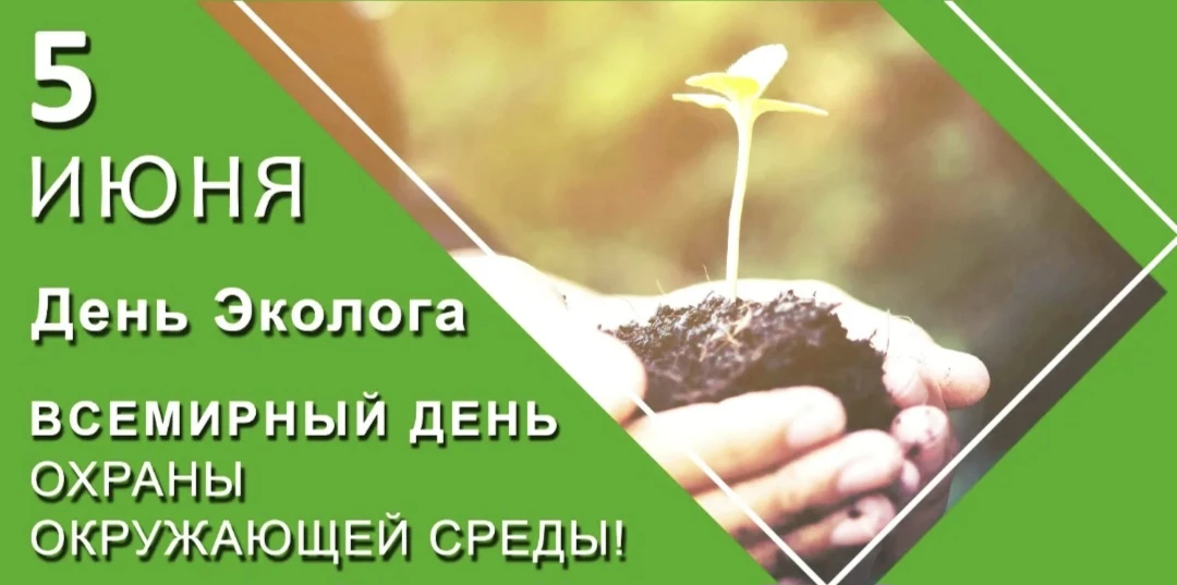🌿 С Днём эколога! 🌿