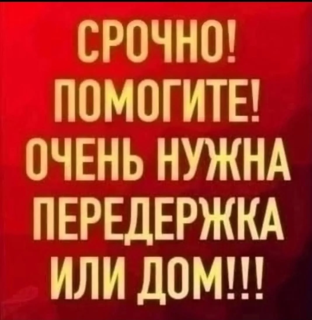 🆘НАШ БАРБОС ДО СИХ ПОР В ЗООГОСТИННИЦЕ 🤷‍♀️. 🆘
