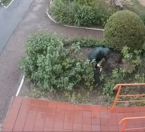 Приехала специально к нашему дому, чтобы украсть приглянувшийся большой, дорогой, 5-лет...