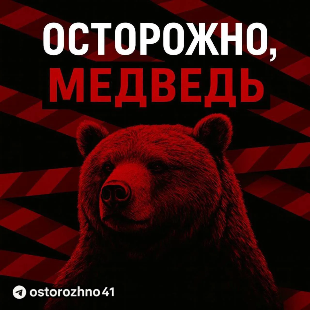 🔞 Медведь замечен вблизи стелы на въезде в микрорайон Завойко
